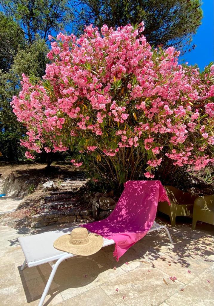 La Bastide Blanche Magnifique Villa 5 Etoiles 5 Chambres Et Piscine Privee Sur 6500 M Var Lorgues Bagian luar foto