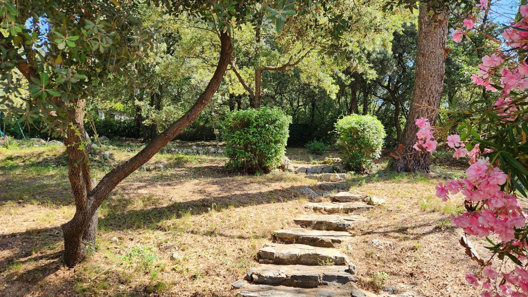 La Bastide Blanche Magnifique Villa 5 Etoiles 5 Chambres Et Piscine Privee Sur 6500 M Var Lorgues Bagian luar foto